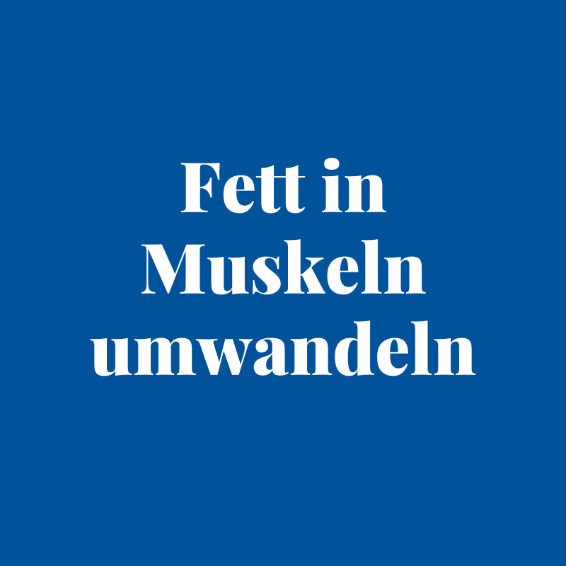 Fett in Muskeln umwandeln