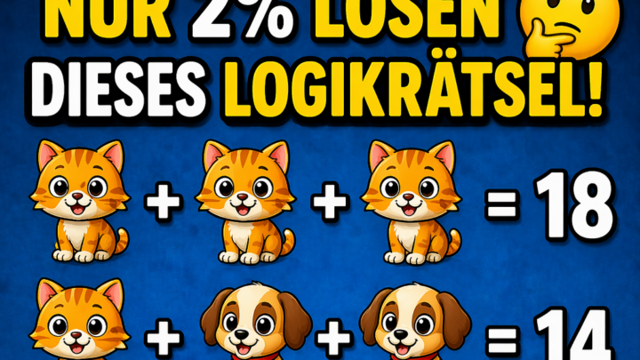 Nur 2% lösen dieses Logikrätsel – schaffst du es?