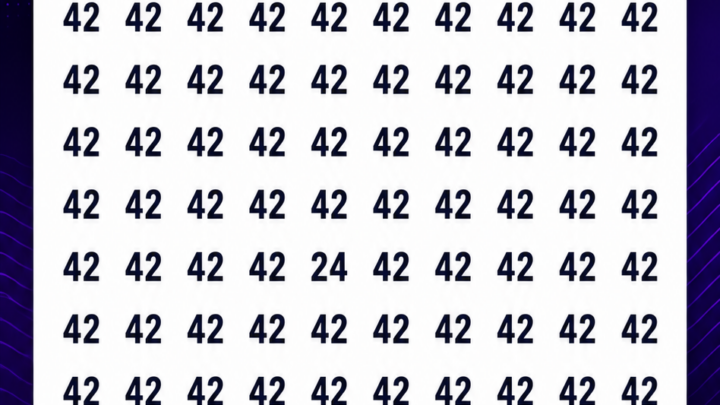 Wo versteckt sich die Zahl 24?