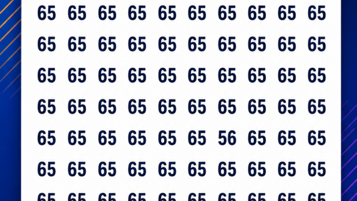 Wo versteckt sich die Zahl 56?