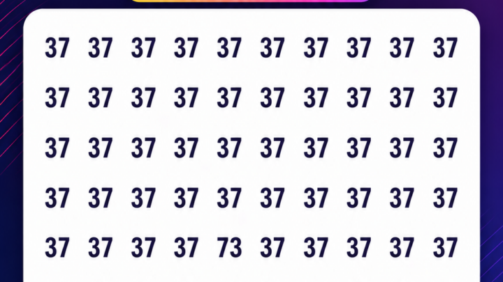 Wo versteckt sich die Zahl 73?