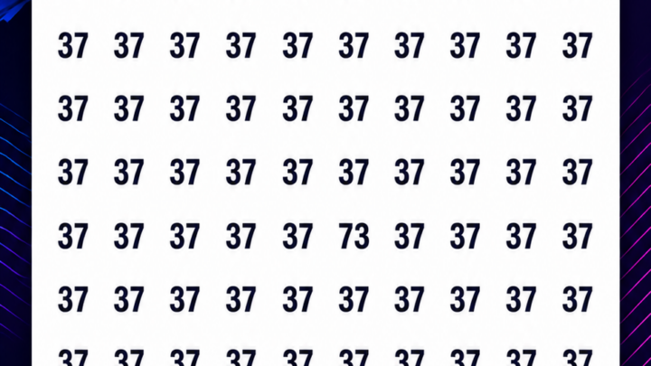 Wo versteckt sich die Zahl 73?